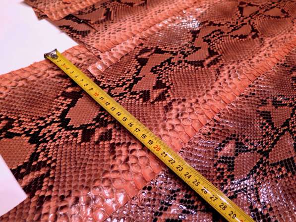 Шкура/кожа питона