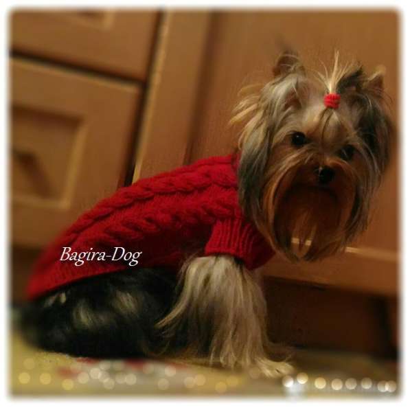 Свитера для собак ручной работы в Москве фото 60