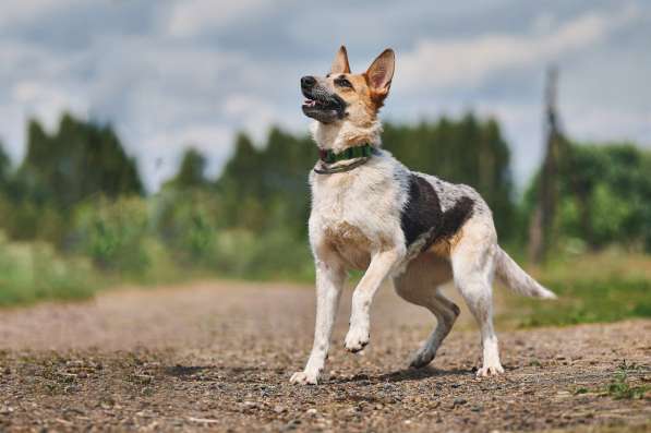 Луна: возраст 1,5 г в Москве фото 3