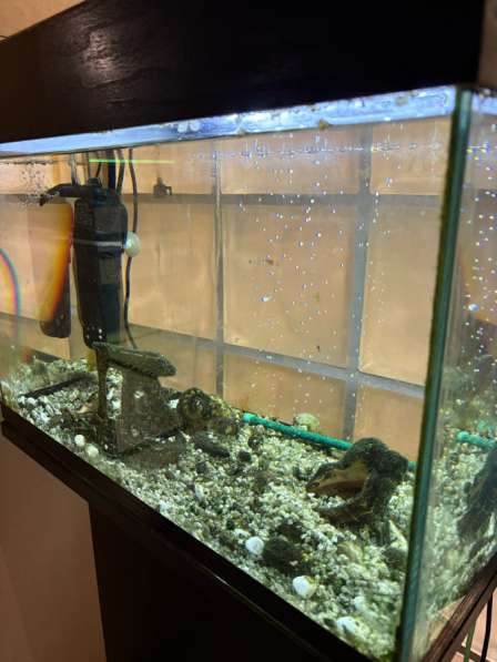 Аквариум для рыбок! в Москве