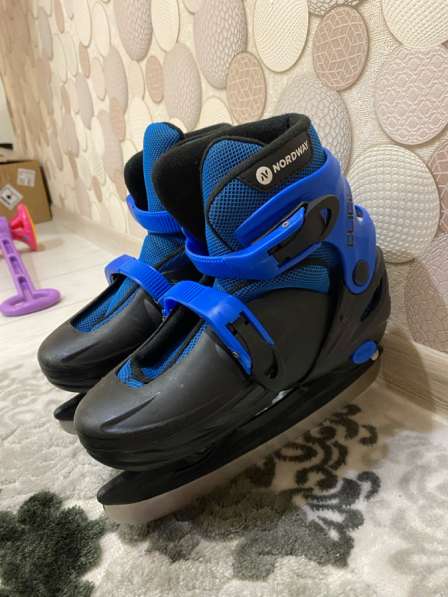 Котки в Тюмени фото 3