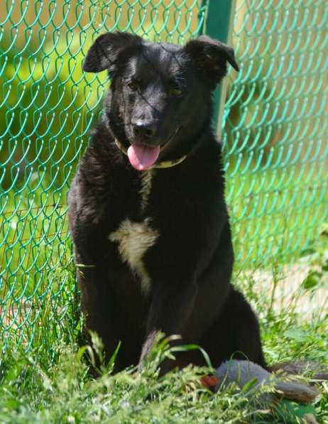 Герда в поисках самого верного друга в Санкт-Петербурге фото 3