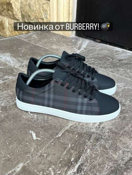 Барбери в Москве фото 5