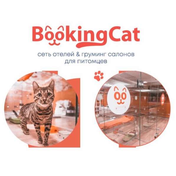 Зоотель для животных