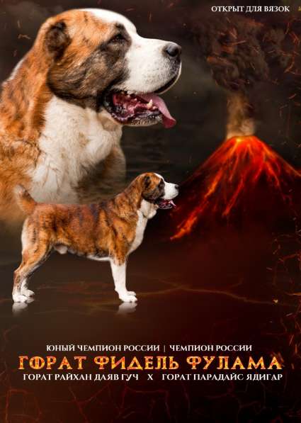 Вязка в Москве фото 10