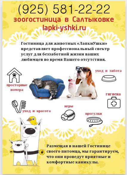 Гостиница для Животных в Реутове фото 5