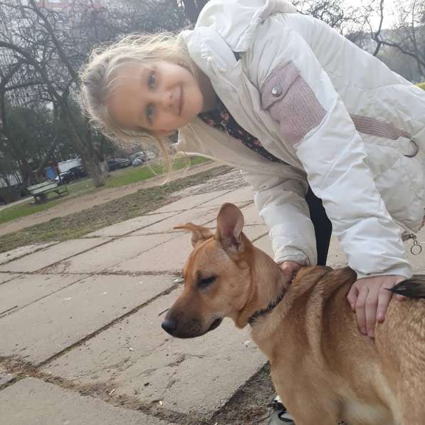 Отдам собаку в хорошие руки в фото 6