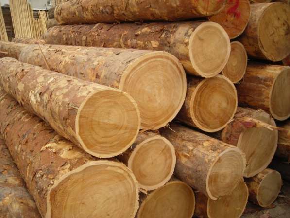 Деловая древесина и пиломатериалы