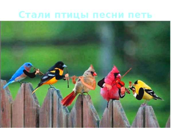 Мини-сад в Екатеринбурге