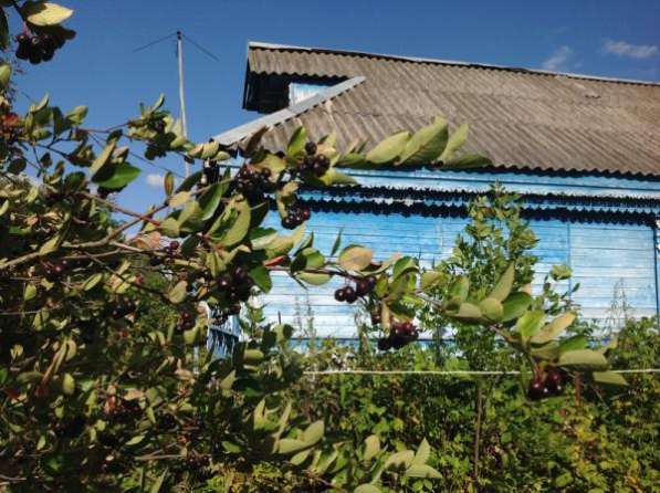 Продается деревенский дом в деревне Шаликово, Можайский район,75 км от МКАД по Минскому шоссе. в Можайске фото 8