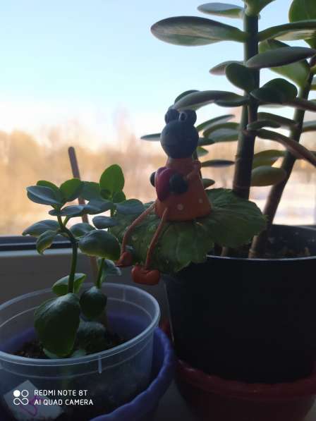 Меняем двушку на две отдельные квартиры в Узловой фото 17