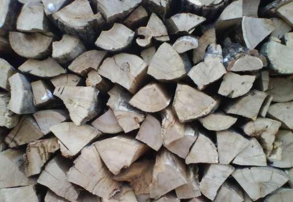 Купить дрова у нас в Калининграде