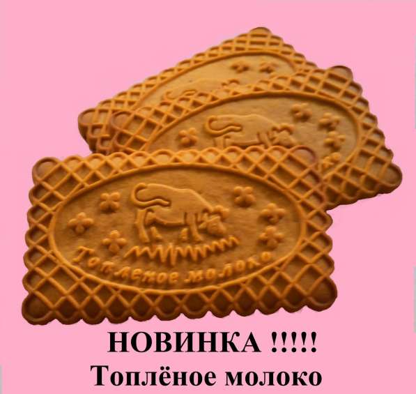 Производство и реализация кондитерских изделий (ПЕЧЕНЬЯ) в Москве фото 10