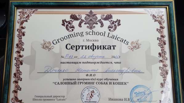 Грумер для собак на дому в Москве фото 7