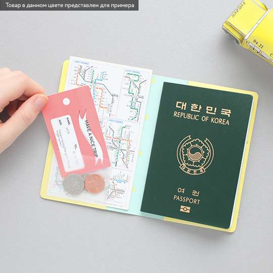 Обложка для паспорта Rainbow (разные цвета) / Серебряный