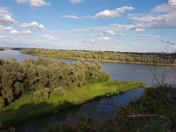 Земельный участок на берегу Дона в Иловле фото 5