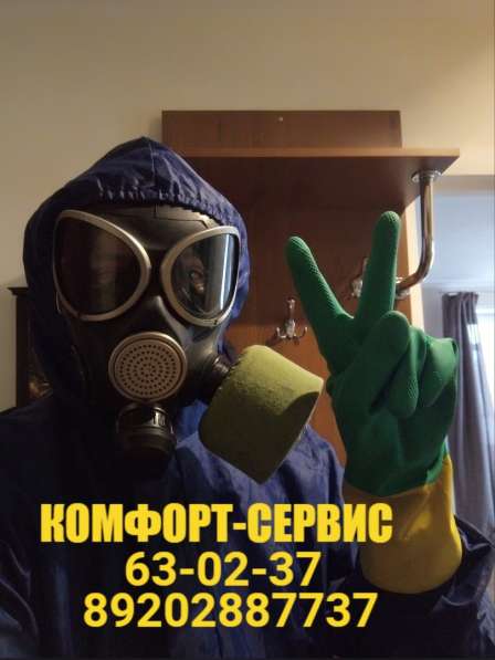 Уничтожение клопов в Орле в Орле фото 5