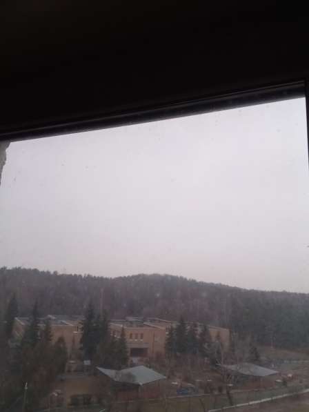 Классная, уютная, толстостенная квартира, био пейзаж; Москва