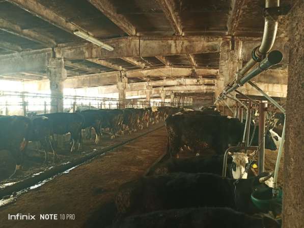 Агрохолдинг ищет соинвестора в Москве