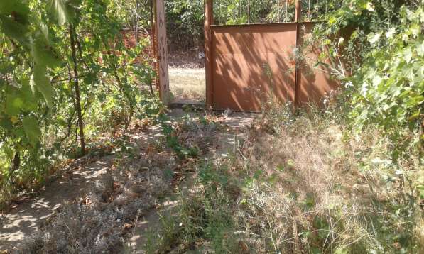 Срочно Продам дом (дача) в фото 4