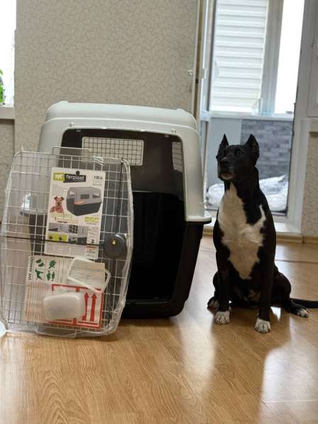 ? Переноска / Клетка / Вальер ?