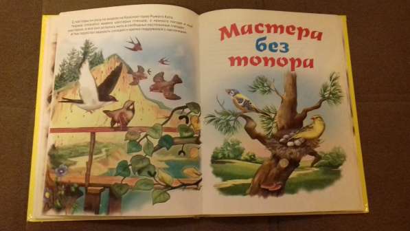 Сказки Бианки в Екатеринбурге фото 4