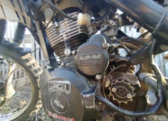 MotolenD TD 150 в Оренбурге фото 3