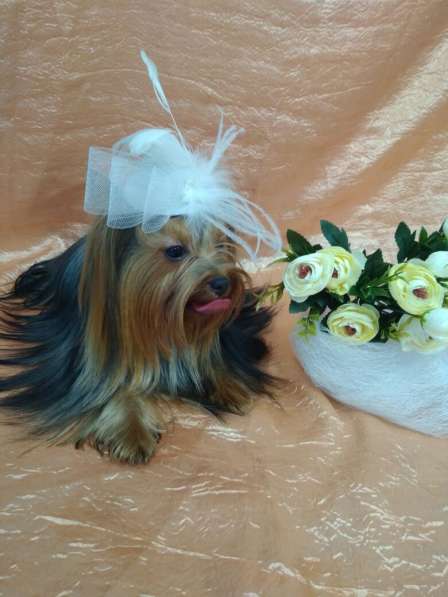 Зоосалон Эверест в Балашихе фото 7