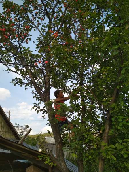 Продам дачу в г. Асбесте