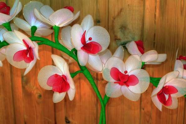 Цветы из капрона. Орхидея из капрона в Чебоксарах
