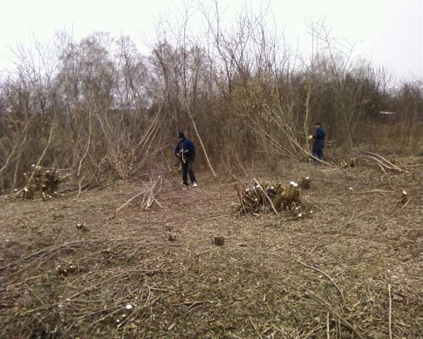 Благоустройство территории. Уборка участка в Геленджике фото 9