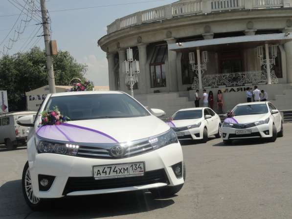 Аренда авто на свадьбу, свадебные украшения для машин Данко в Волгограде фото 4