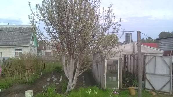 Продам дачу 48кв м 6 соток в Кургане фото 18