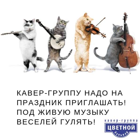 Музыкальное оформление свадеб под ключ в Краснодаре фото 7