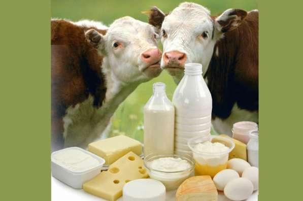 Купим просрочку Молоко- Сметану- Творог- Сыр в кругах и Масл