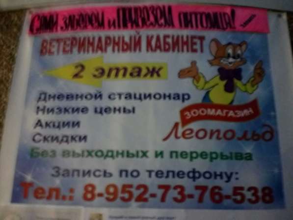 Помогите у кого есть питомцы! в Березовский