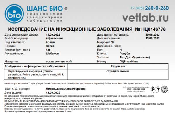 Сос! Кошечку выкинули на улицу в Москве фото 32