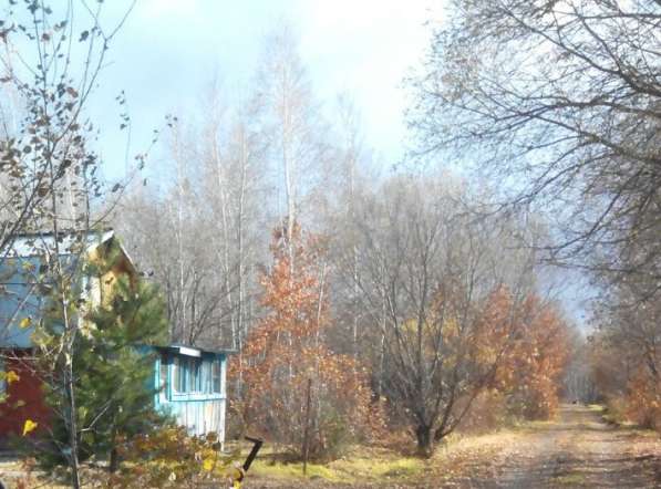 Продам дачу в селе Галкино Хабаровского района в Хабаровске фото 3