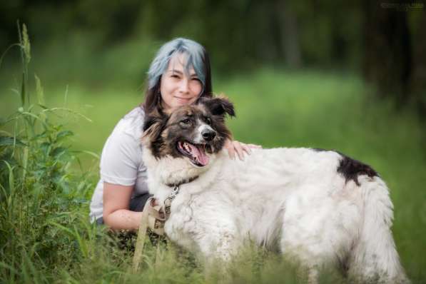 Пушистая красавица Электра ищет семью в Москве фото 8