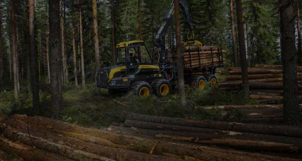 Продажа лесных участков для заготовки древесины в Екатеринбурге