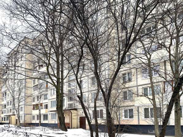 Двухкомнатная квартира 50 кв. м под ремонт на Светлановском в Санкт-Петербурге фото 4
