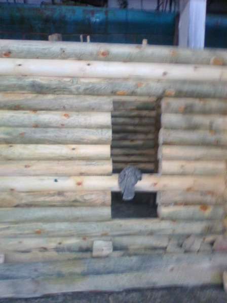 Продам сруб бани из оцилиндрованного бревна в Каменске-Уральском фото 3