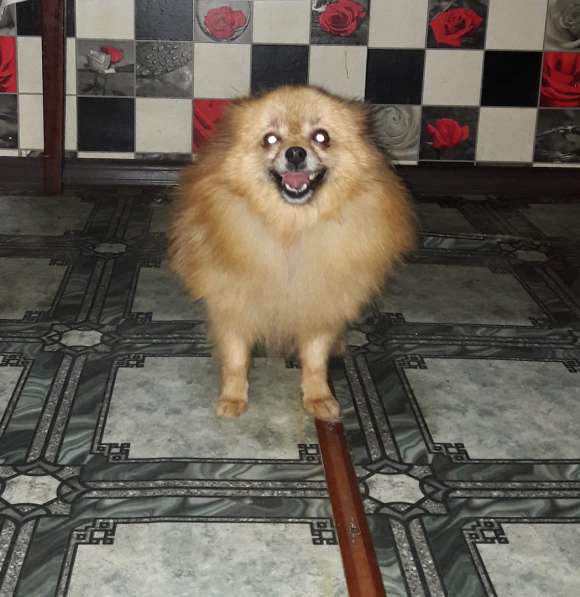 Улыбчивая малышка в Москве