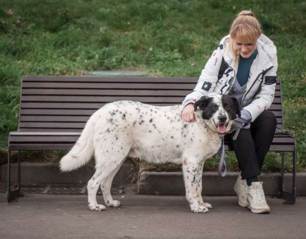 Благородный Герцог ищет семью в Москве фото 41