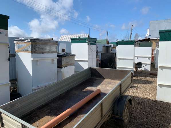 Обслуживание, ремонт, установка септиков для частного дома в Москве фото 3