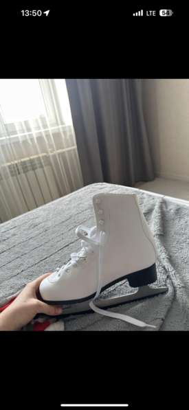 Коньки в Энгельсе
