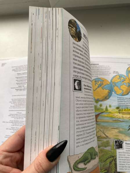 Большая Книга Эрудита в Екатеринбурге фото 3