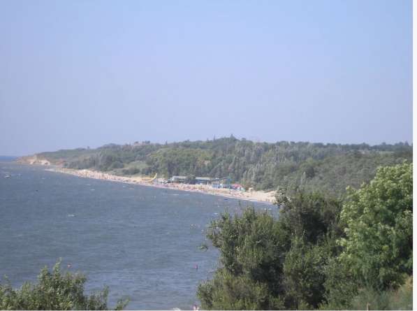 Участок 2,47 гектара, Урзуф, Донецкая область в фото 7