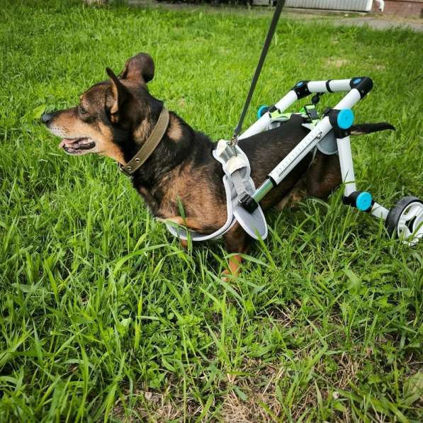 Чудесный мальчик Митя из приюта ищет семью в Санкт-Петербурге фото 6