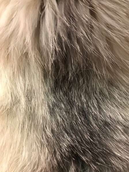 Папаха в Сургуте